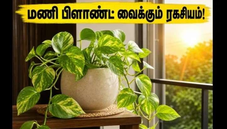 Newsthamizha